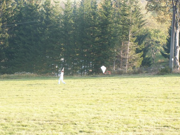 PICT0330.JPG