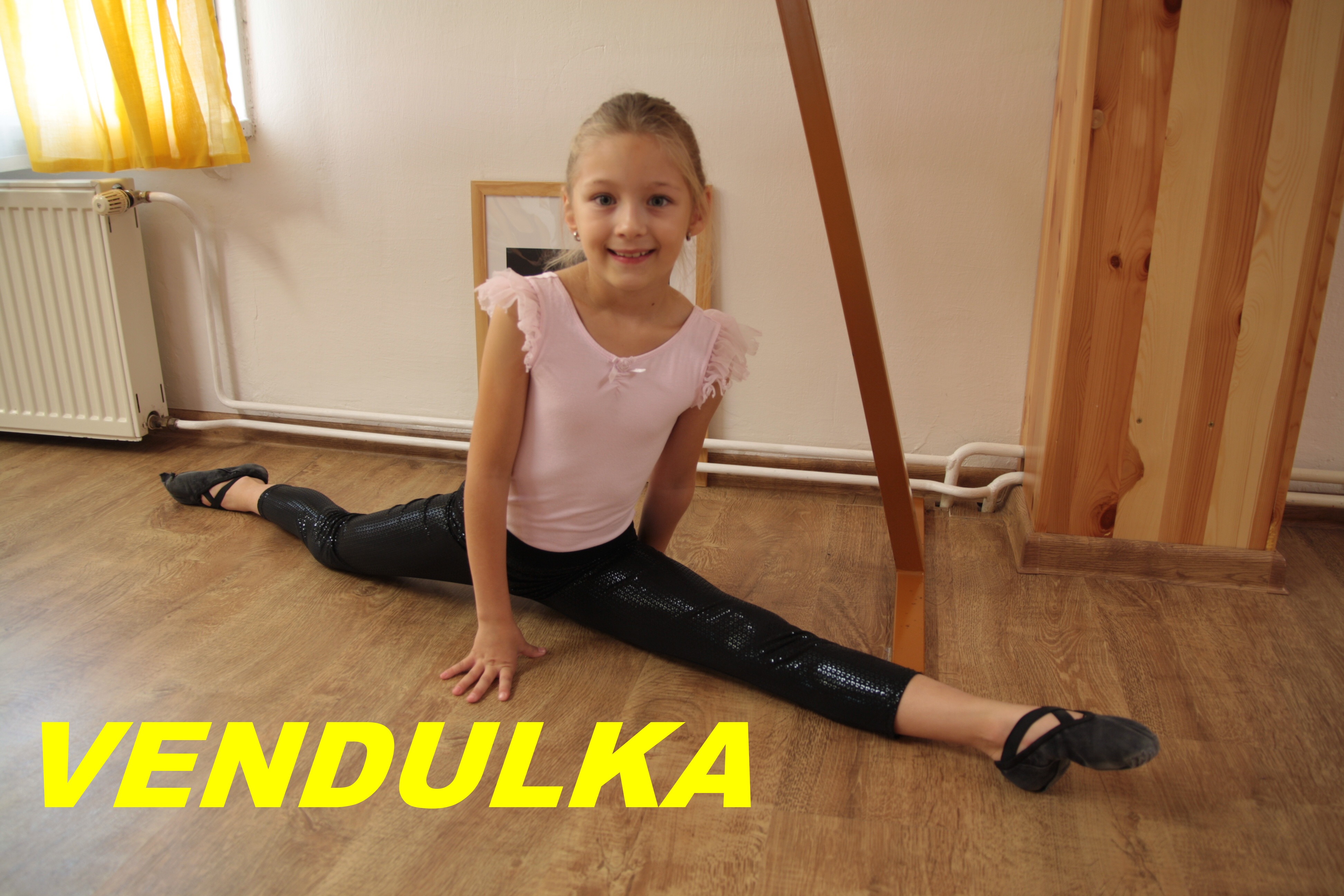 VENDULKA